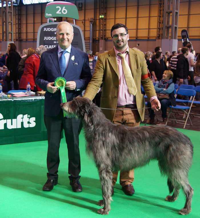 Dog CC Winner Crufts 2015